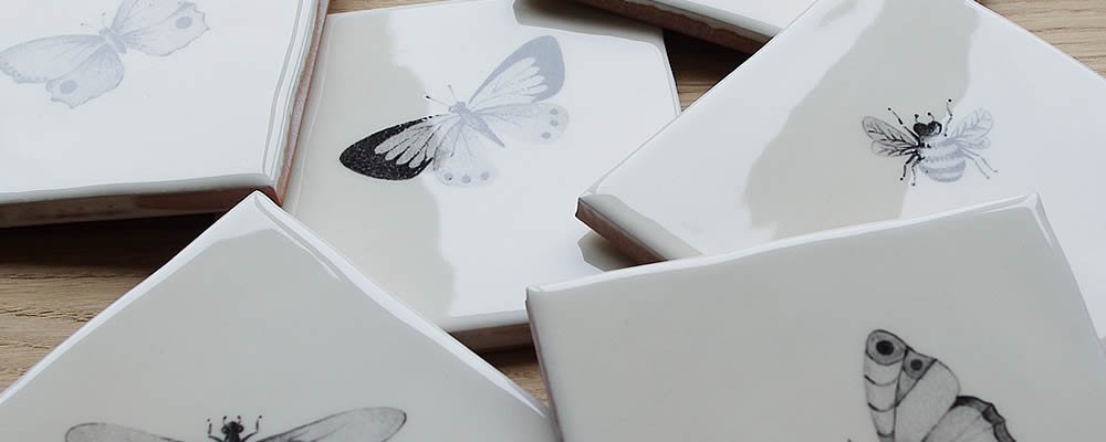 Monochrome Bugs and Insects Monochrome Bugs and Insects
