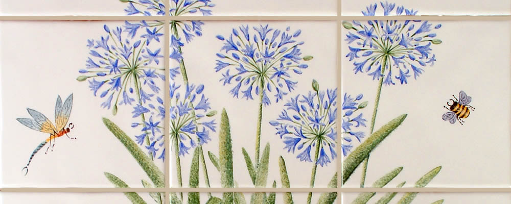 Agapanthus Agapanthus