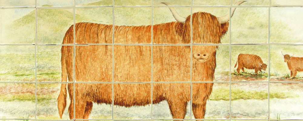 Highland Cattle